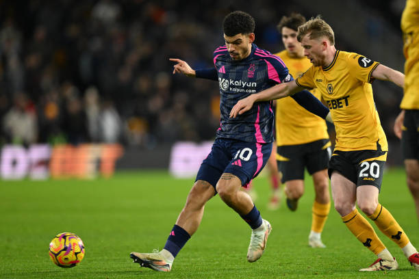 英联杯并不 英联杯并不